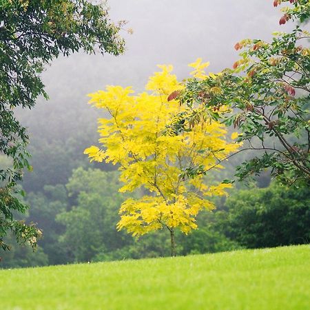 Вилла Mt Glorious Getaways Mount Glorious Экстерьер фото