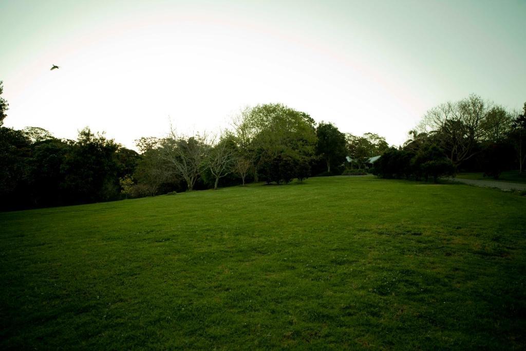 Вилла Mt Glorious Getaways Mount Glorious Экстерьер фото