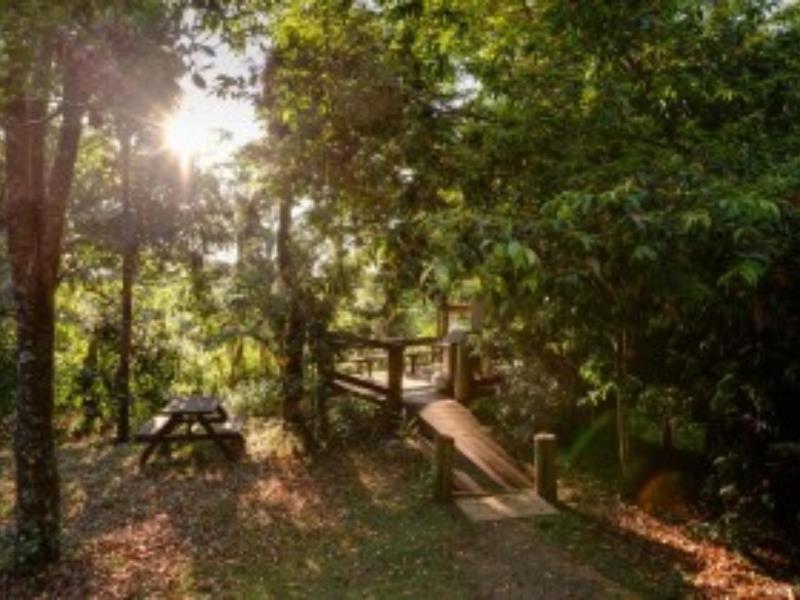 Вилла Mt Glorious Getaways Mount Glorious Экстерьер фото