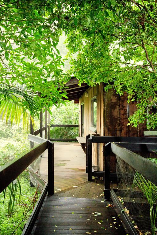Вилла Mt Glorious Getaways Mount Glorious Экстерьер фото