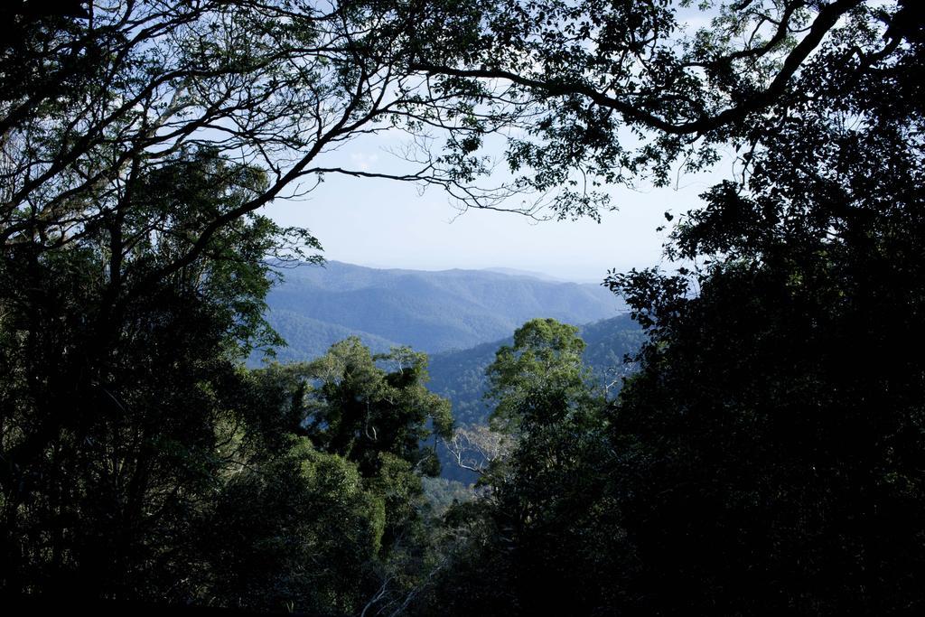 Вилла Mt Glorious Getaways Mount Glorious Экстерьер фото